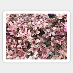 Spring flowers Sticker